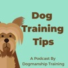 Dog Training Tips artwork