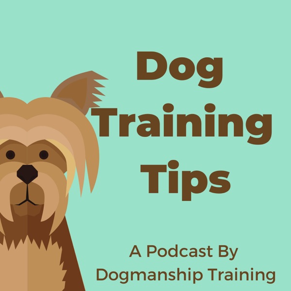 Dog Training Tips Artwork