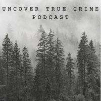 Episode 65: The Unsolved Murder of Reet Jurvetson