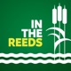 In The Reeds: Canada's Conservation Podcast
