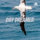 Day Dreamer 🌸