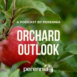 E2 S3. The Coolest Chat about Early Dormant Pruning: Guest Dr. Richard Marini