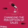 Changing the Perception of Sales artwork