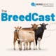 Episode 06 (Season 03) - Genomic vs. Daughter-proven Bulls - What Are Their Merits?