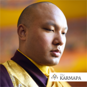 Selected Talks on Buddhism and Meditation by the Karmapa - Selected Talks on Buddhism and Meditation by the Karmapa