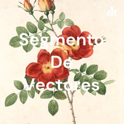 Vectores