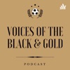 Voices of The Black & Gold artwork