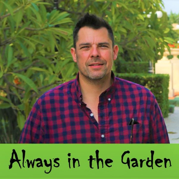 Always in the Garden Podcast - with Jason Jorgensen Artwork