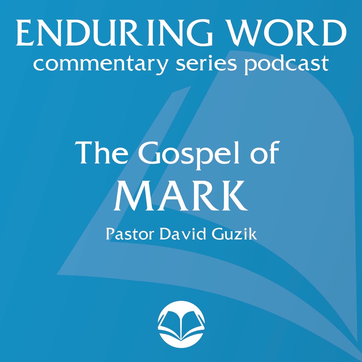 Mark 16920 What Does Jesus Want Me to Do? The Gospel of Mark