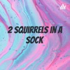 2 Squirrels in a Sock artwork