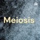 Meiosis