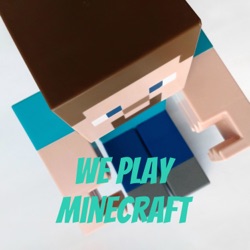 We play minecraft