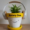 Botany One artwork