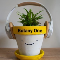 Botany One