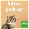 Pets at Home Kitten Podcast artwork