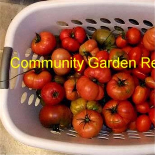 Community Garden Revolution Artwork