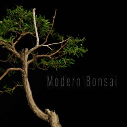 Modern Bonsai Episode 08 