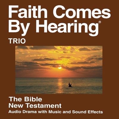 Trio Bijbel - Trio Bible