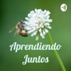 Aprendiendo Juntos