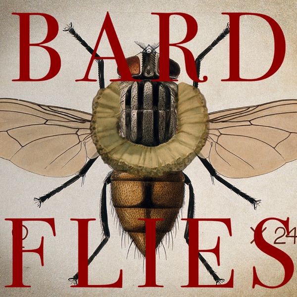 Bard Flies Artwork