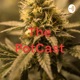 Pot cast #1- Boosh and delorme introduce a new podcast series, Potcast!