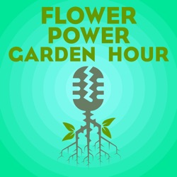 Flower Power Garden Hour 103:  David Wooten, A Quarter Acre & No Mule