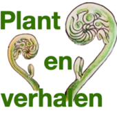 Plantenverhalen - Annet Breure