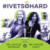 #IVETSOHARD, Technology And Workflows For Veterinary Teams artwork