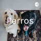 Perros (Trailer)