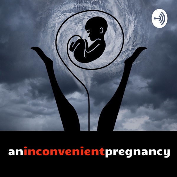 An Inconvenient Pregnancy Artwork