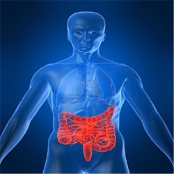 Ulcerative Colitis Medications and Your Immune System