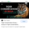 Conservation Of Tiger ; by Sanjay Rajan artwork