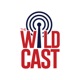 The Wildcast, Episode 510: Expectations for Arizona in first Big 12 Tournament