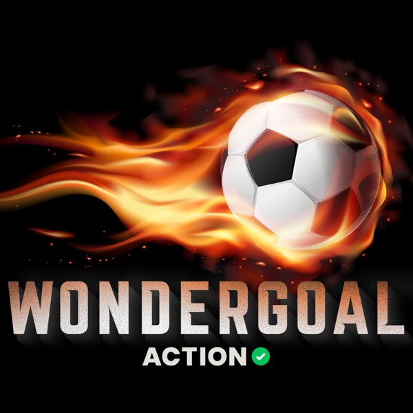 Wondergoal Artwork