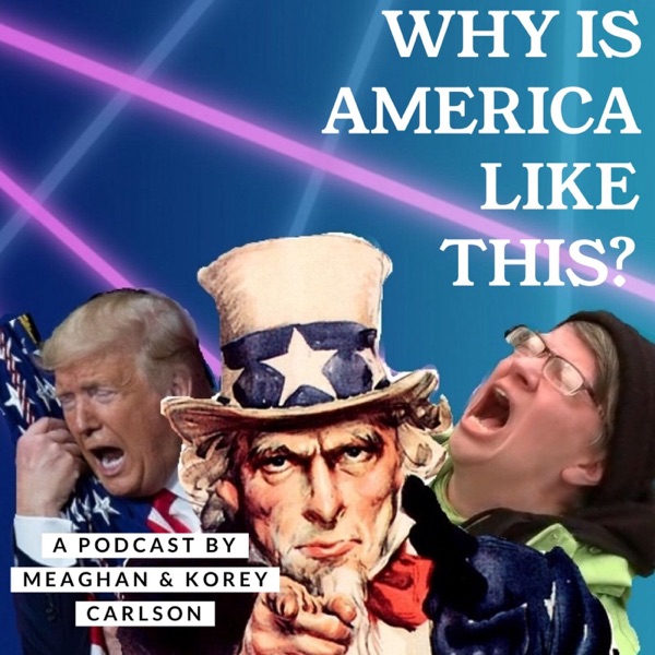 Why Is America Like This? Artwork