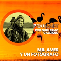 Zorzal Chiguanco | con Guillermo Sferco