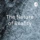 The Nature of Reality #3