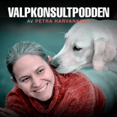 Valpkonsultpodden - Petra Harvankova