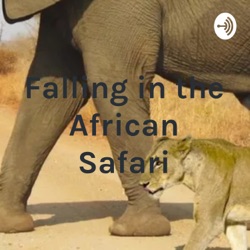 Falling in the African Safari