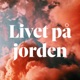 Livet på jorden med  Gabriel Forss