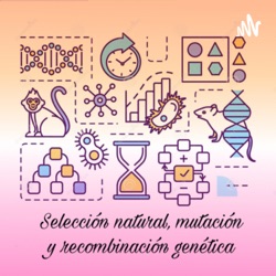 Selección natural, mutación y recombinación genética 