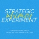 The Strategic Whimsy Experiment