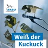 Podcast „Weiß der Kuckuck“
