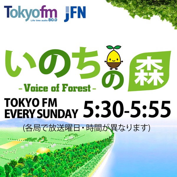 いのちの森　voice of forest