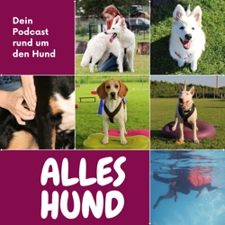 Hund & Hitze