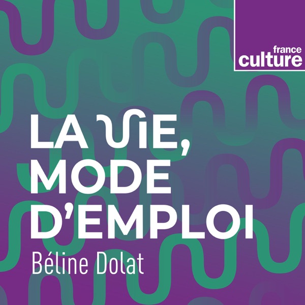 La vie, mode d'emploi