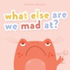 What Else Are We Mad At? artwork
