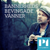 Bannerheds bevingade vänner podcast