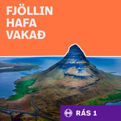 Fjöllin hafa vakað