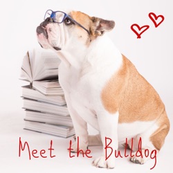 MTB2_02 adottare un bulldog inglese